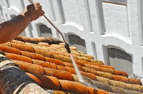 Nettoyage de toitures - Chéniers